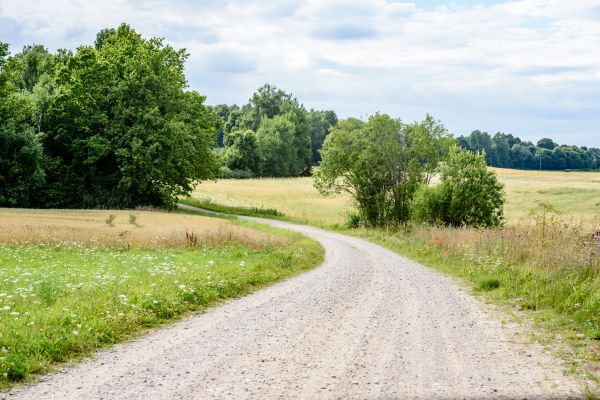 Stone Driveway Repair in Anderson