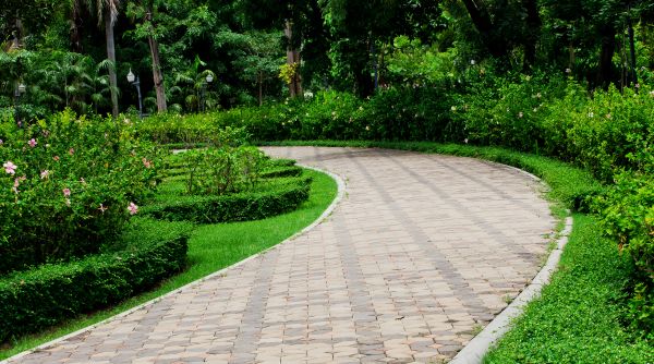 Cost of Paver Walkway Repair in Anderson