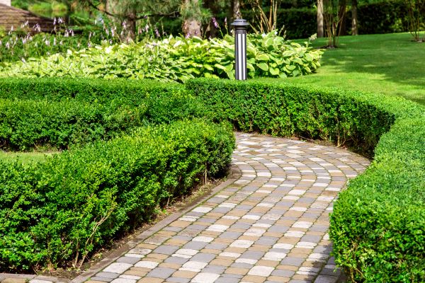 Cost of Paved Landscaping in Anderson
