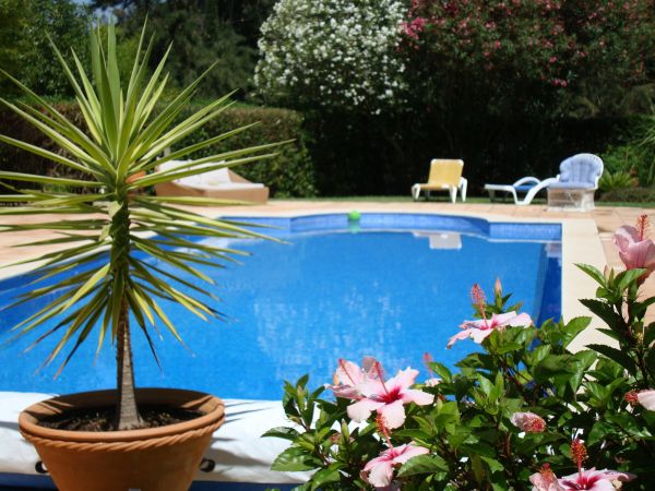 Cost of Pool Terrace Renovation in Anderson