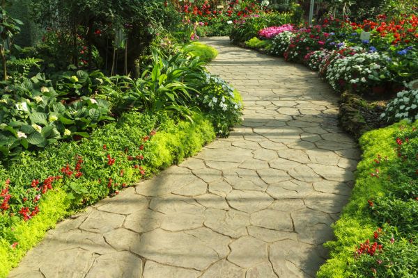 Cost of Stone Pathway Service in Anderson